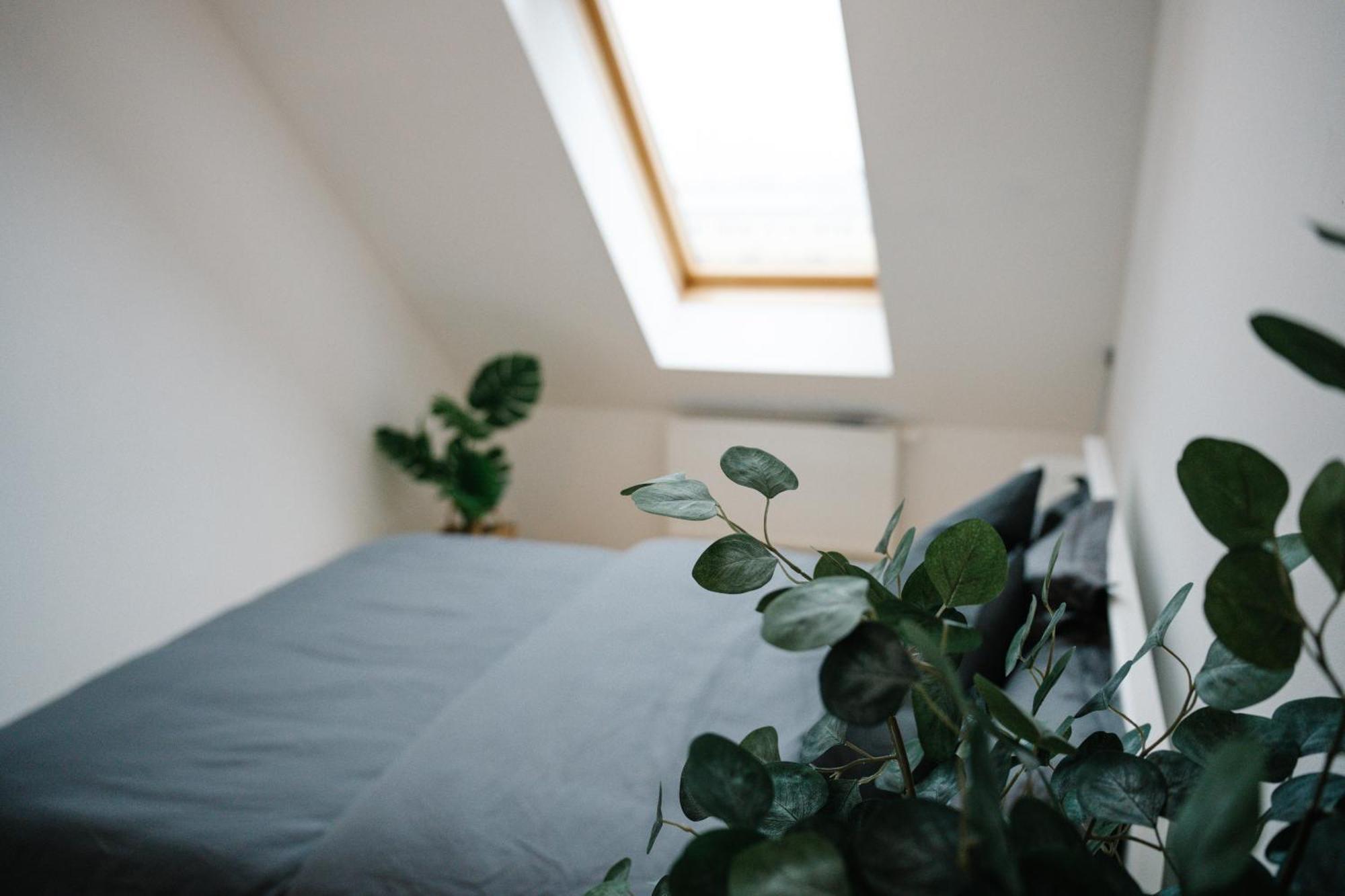 110Qm, 4 Bedrooms, Near Schoenbrunn - Axara Housing Osw 33 维也纳 外观 照片